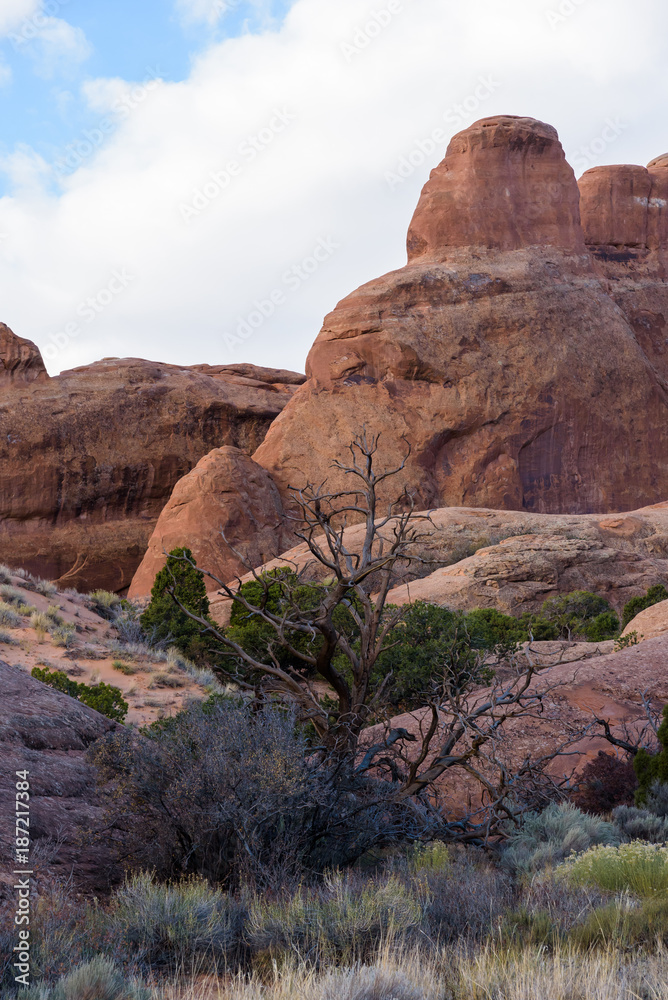 Fototapeta premium Dramatic Red Rock Formations in Arches National Park, Utah
