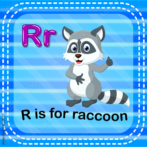 Flashcard letter R is for raccoon