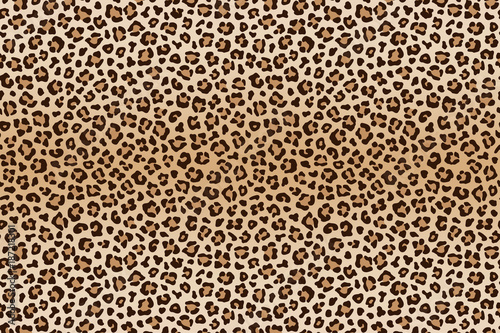 Animal leopard brown beige texture. Vector
