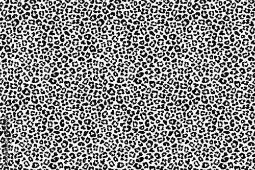 Black and white animal texture. Vector