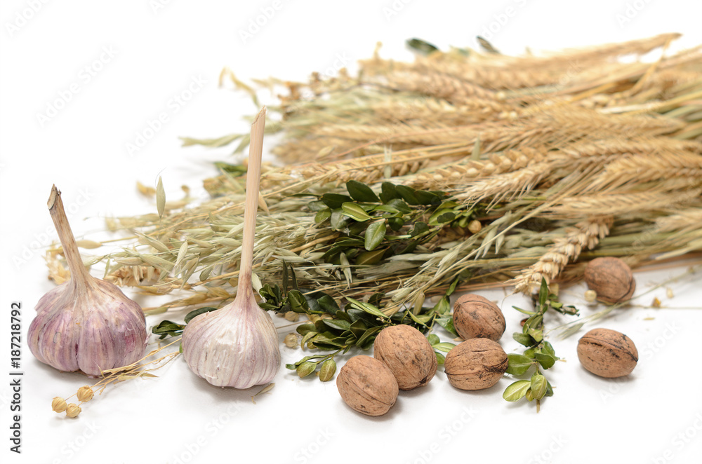 Stems of wheet, rye, flax, oat and periwinkle on white background. Concept symbol of welfare and wealth. Harvest. Ukrainian and slavic national food as basis of bread.