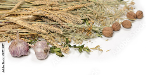 Stems of wheet, rye, flax, oat and periwinkle on white background. Concept symbol of welfare and wealth. Harvest. Ukrainian and slavic national food as basis of bread.