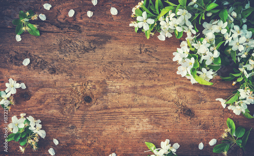 Fototapeta Naklejka Na Ścianę i Meble -  Spring blooming branches on wooden background