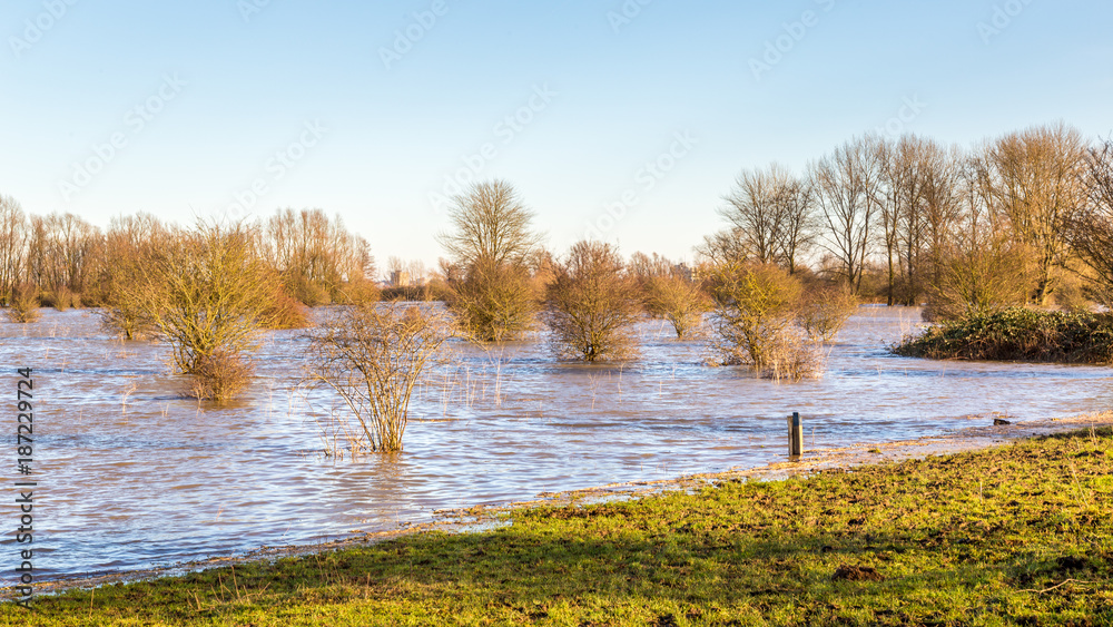 Fototapeta premium Landscape with flooded river Rhine near Arnhem in the Netherlands