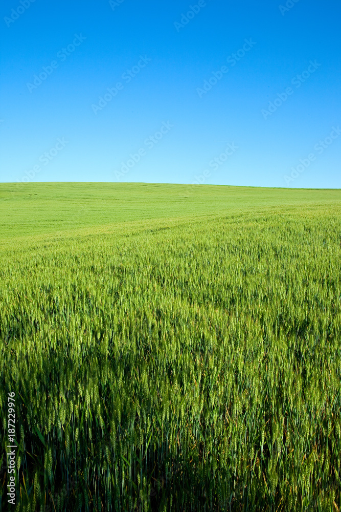 Paysage de campagne en France