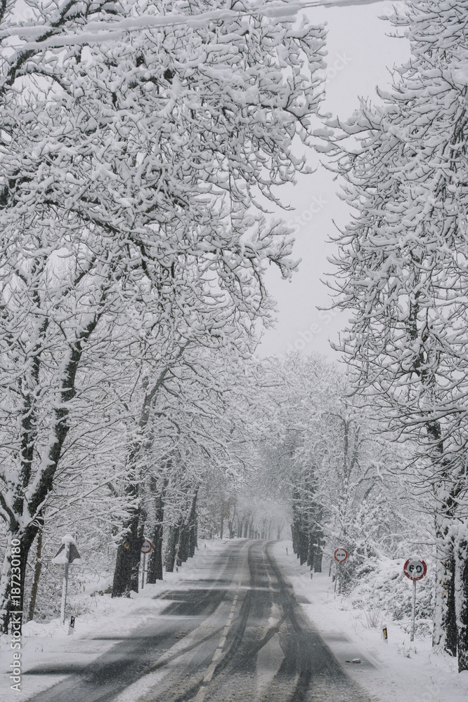 Obraz premium Winter road. Country road through forest. Travel concept.
