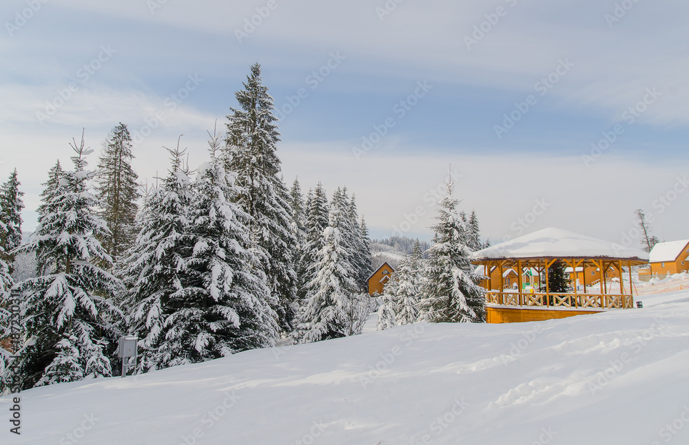 Tall fir trees covered with snow and a small wooden house. Winter daytime landscape. Tall fir trees covered with snow and a small wooden house. Winter daytime landscape.