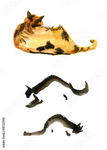 Cute watercolor cats on white background. Sketch set