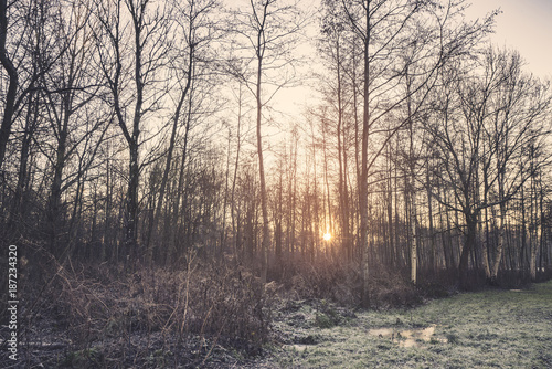 Sunrise on a frosty morning in December © Polarpx