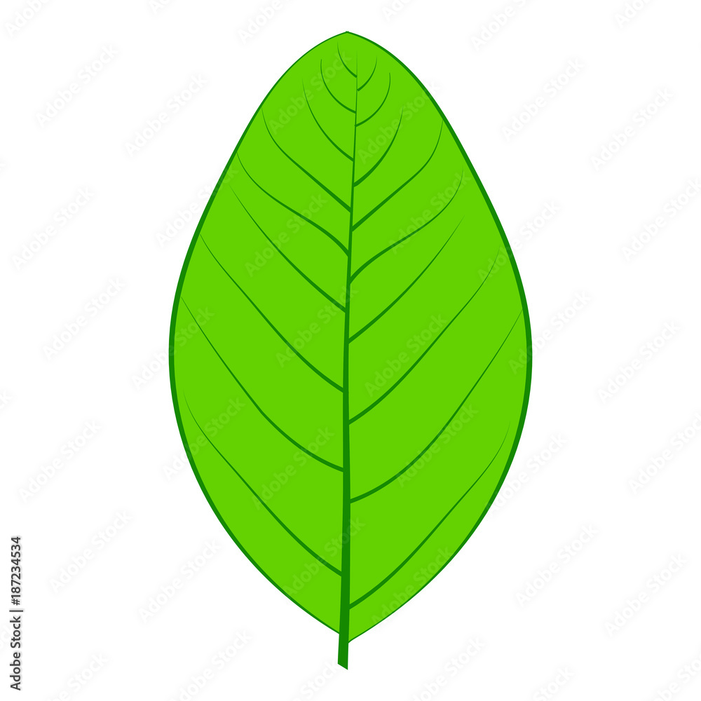 Obraz premium Eco icon green leaf