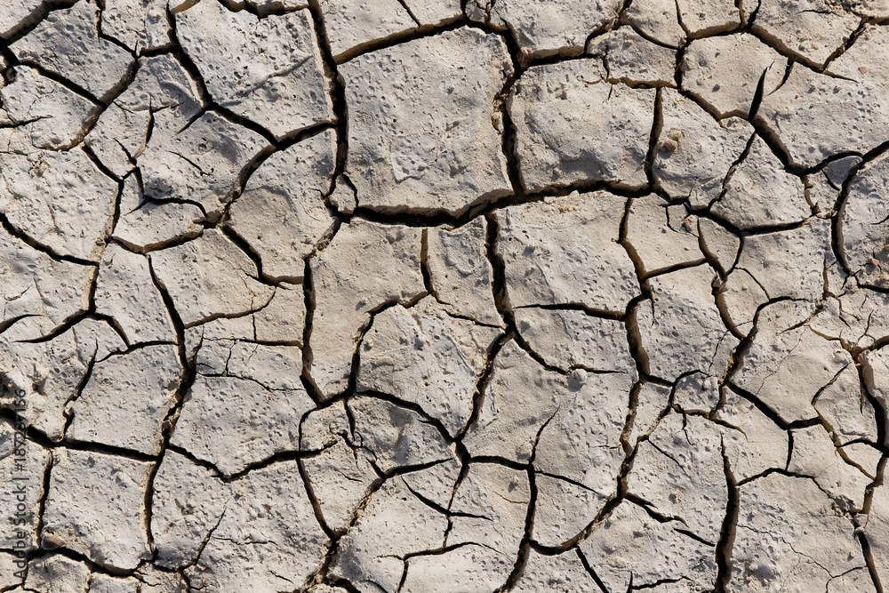 Texture of dry land close-up Texture of dry land close-up