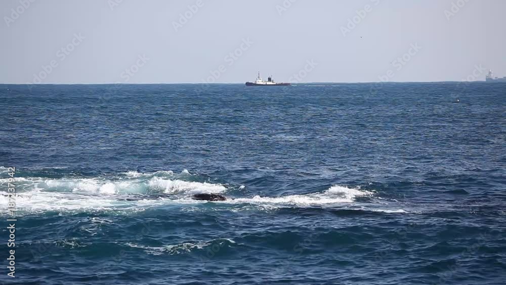 A dynamic wave
A dynamic wave