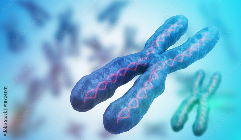 3D rendered illustration of chromosomes. Genetics concept. 3D rendered illustration of chromosomes. Genetics concept.