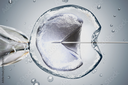 Bilde på lerret Laboratory microscopic research of IVF (in vitro fertilization).