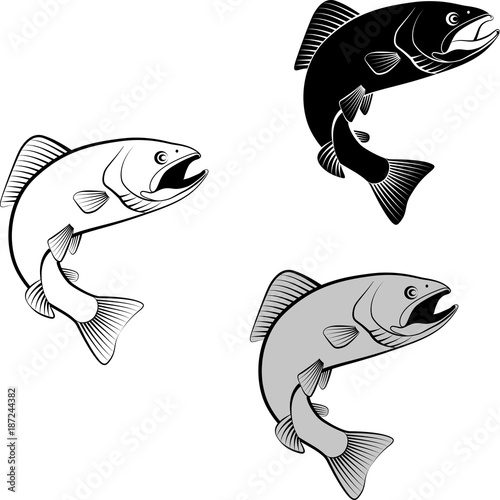 trout - clip art illustration and  silhouette photo