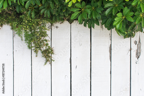 rustic fence for background
