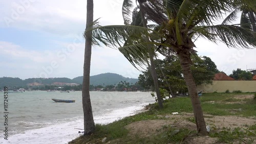 Palm tree blowing in the wind on the background of the ocean. Koh Samui, Thailand