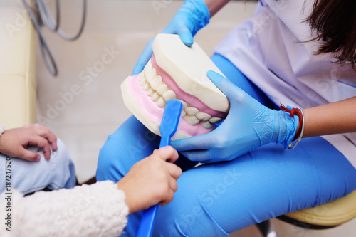 The dentist tells the child about oral hygiene and shows an artificial jaw and toothbrush