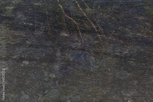 old wood for backgrounds
