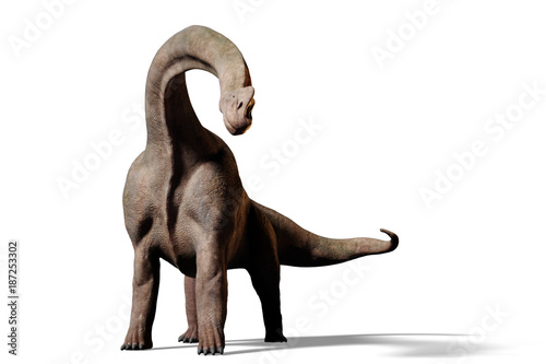 Brachiosaurus altithorax dinosaur