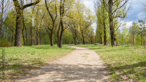 Fototapeta Naklejka Na Ścianę i Meble -  Dirt road in the park on the border between Sosnowiec and Katowice cities