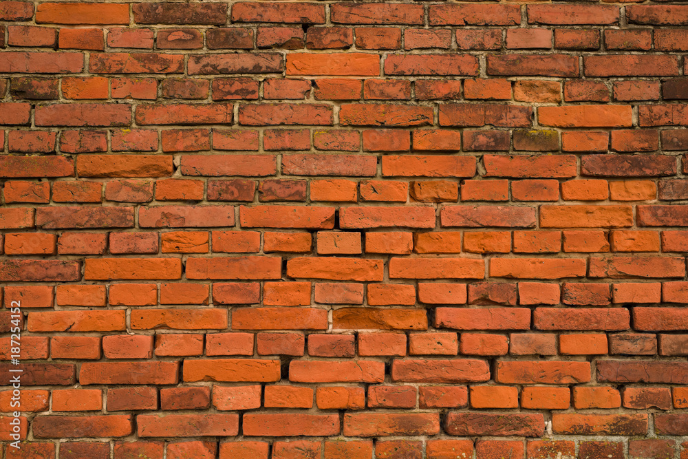Fototapeta premium ceglana sciana