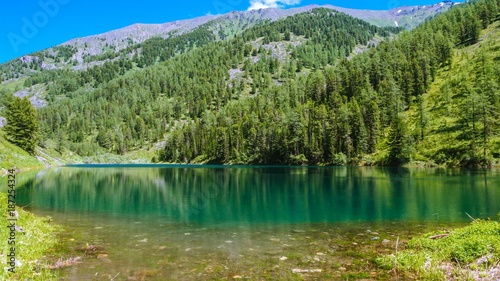 Beautiful lake in the forest