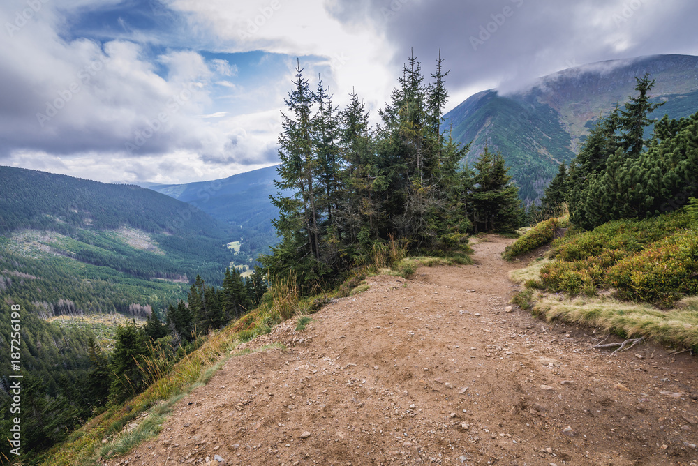 Obraz premium Footpath from Pec pod Snezkou town in Czech Republic to the peak of Snezka Mountain