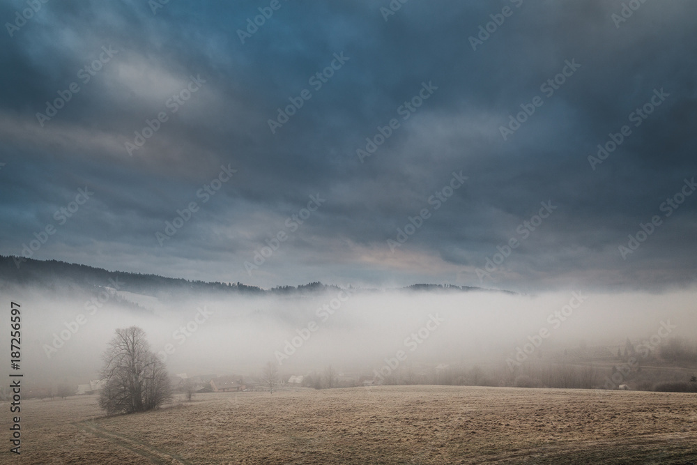 Winter landscape in fog at misty morning. Winter landscape in fog at misty morning.