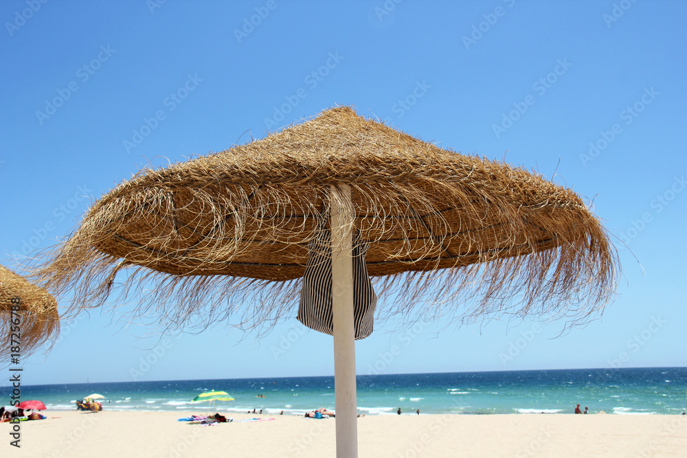 Tropical beach scene with straw umbrellas in the foreground with view looking out to the ocean.
