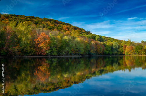 Fall Trees Reflected in Lake Water