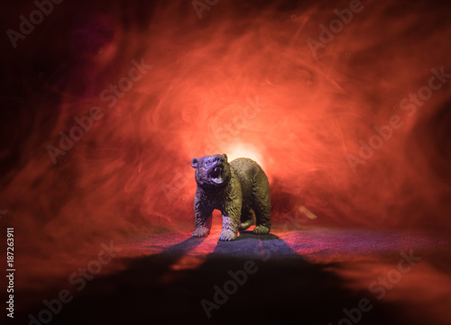 Angry bear behind the fire cloudy sky. The silhouette of a bear in foggy forest dark background. Selective focus photo