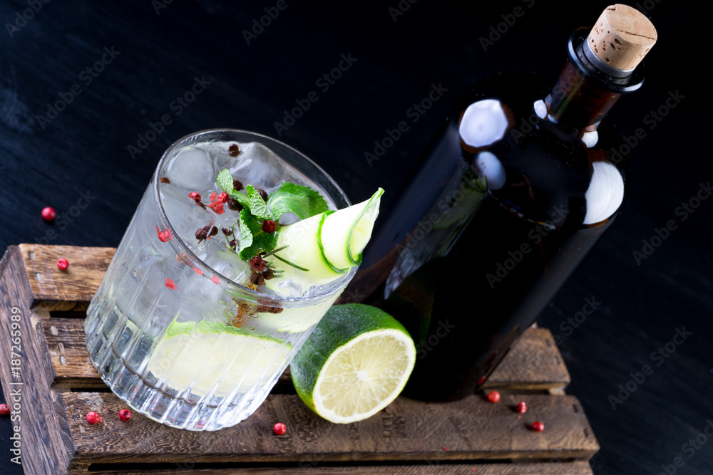 gin and tonic alcohol drink cocktail glass ice fruit garnish plain black white background