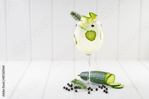 gin and tonic alcohol drink cocktail glass ice fruit garnish plain black white background