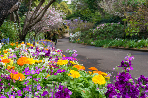 Canvas Print Colorful flowerbeds along the alley in the park