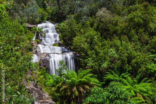 Fainter Falls in native Australian Forest. Kiewa Valley  Victoria  Australia