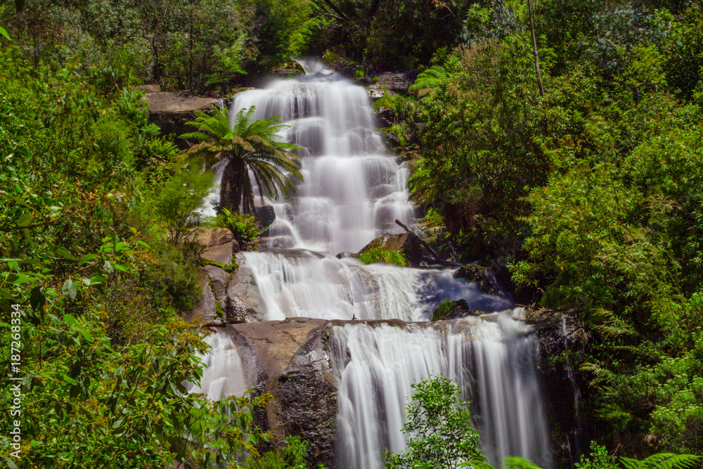 Beautiful Fainter Falls in native Australian Forest. Kiewa Valley, Victoria, Australia