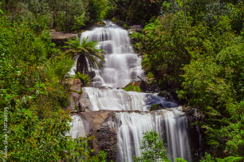 Beautiful Fainter Falls in native Australian Forest. Kiewa Valley  Victoria  Australia