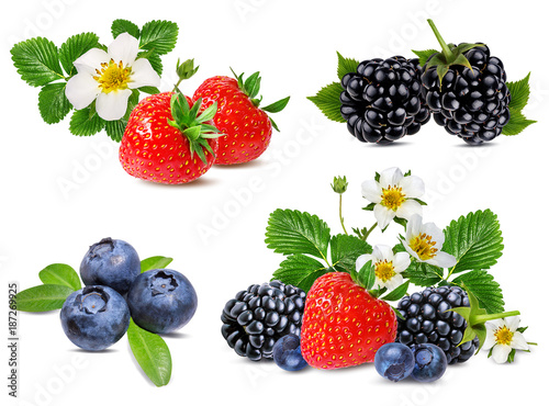 collection of fresh berries isolated on white background