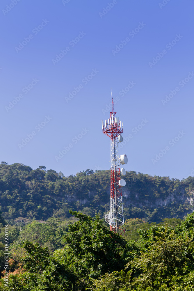 Obraz premium Trasmission tower in the jungle