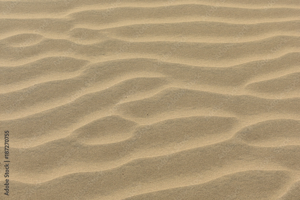 sam sand dunes in thar desert jaisalmer rajasthan india sam sand dunes in thar desert jaisalmer rajasthan india