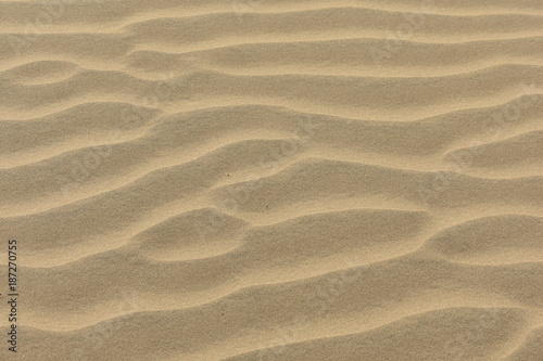 sam sand dunes in thar desert jaisalmer rajasthan india © SONAL