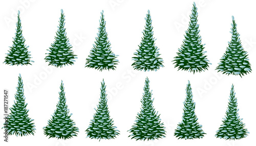 Set of green fir trees in snow isolated on white background