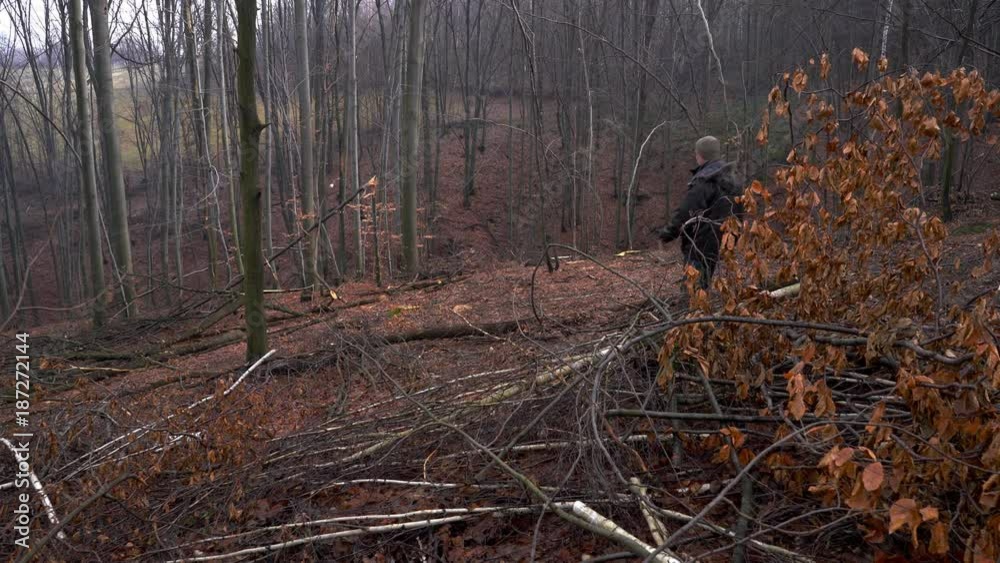 Man goes through forest and looking cut down trees - (4K) Man goes through forest and looking cut down trees - (4K)