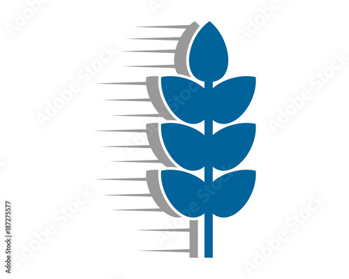 blue paddy wheat plant flora image vector icon