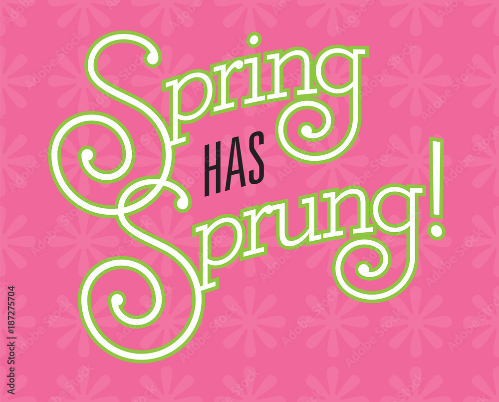 Spring Has Sprung Vector Design on flower background.
Fun custom drawn text with fancy swash letters and bold outline on pink background with flower pattern.