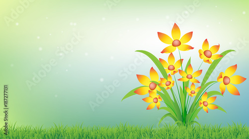 blossom yellow flowers background, vector illustration eps10