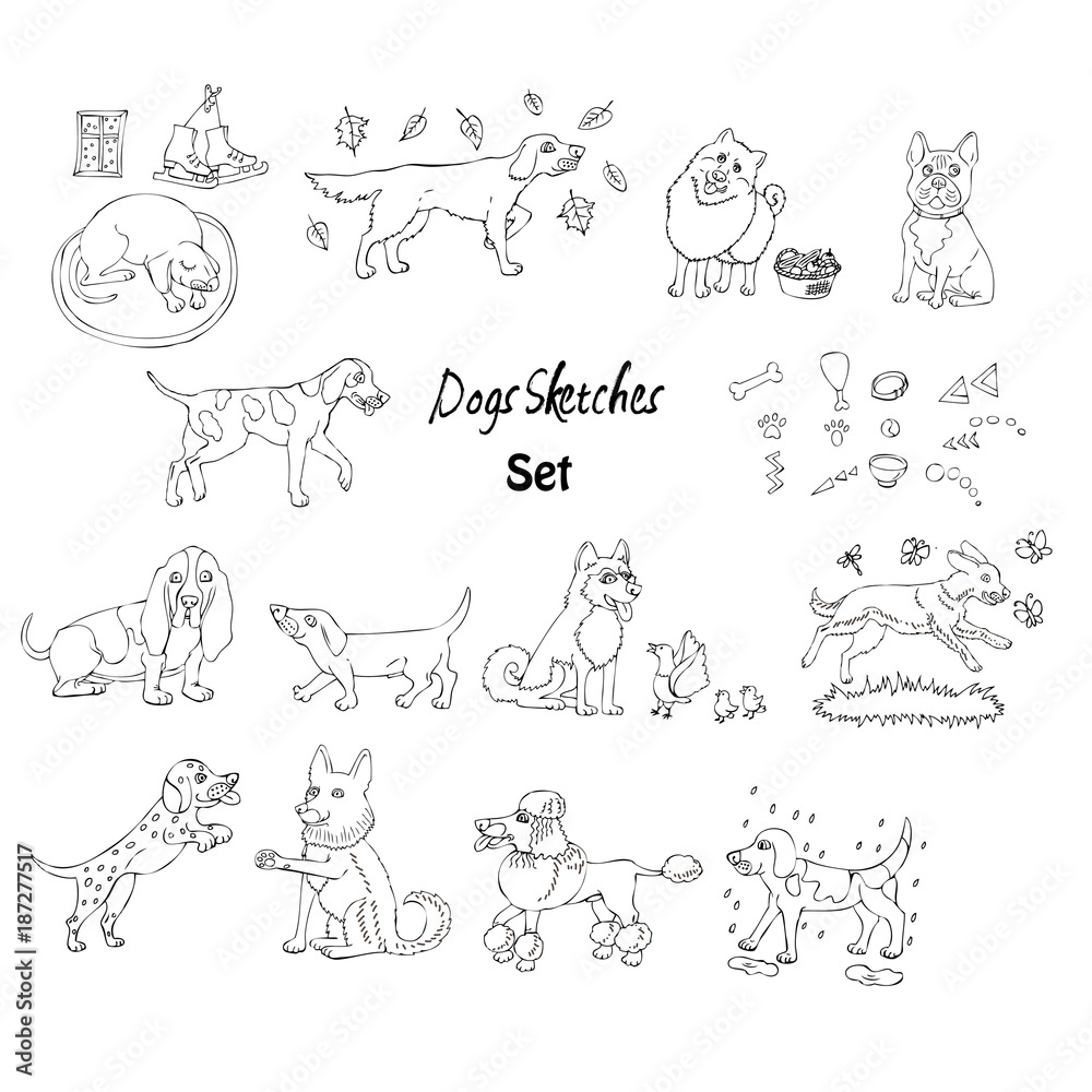 Funny Dogs Sketches Funny Dogs Sketches