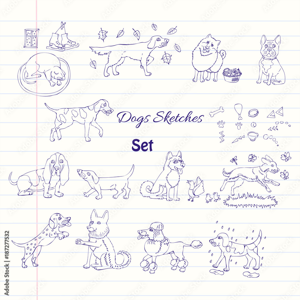 Funny Dogs Sketches Funny Dogs Sketches