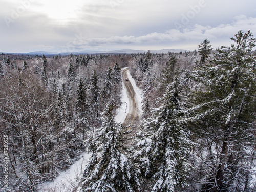 Fototapeta Sceniczny widok drogowy omijanie przez lasu w zimie
